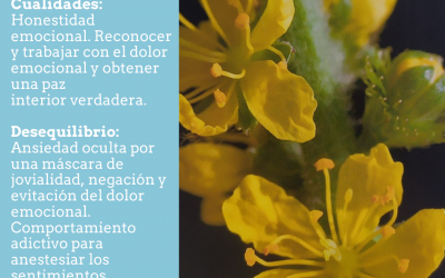 Flores de Bach para sensibilidad excesiva a influencias