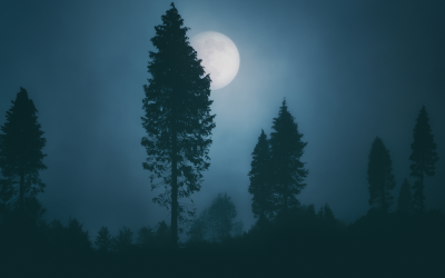 Luna Llena en Sagitario