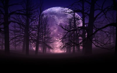 Luna Llena en Capricornio
