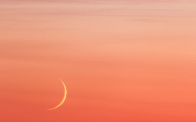 Luna Nueva en Leo