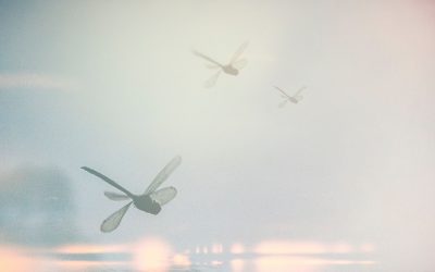 Tarot y sueños: una buena combinación